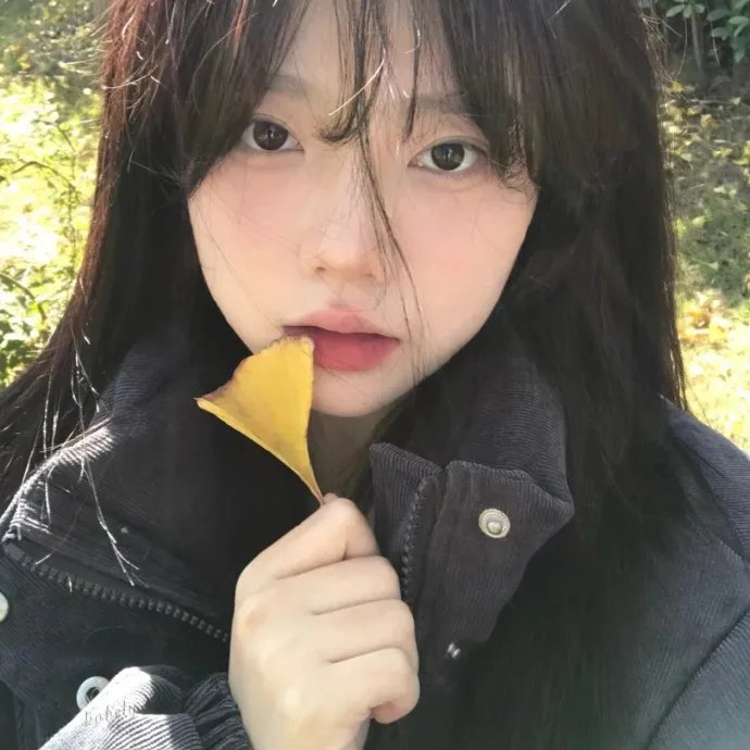 飞来子女